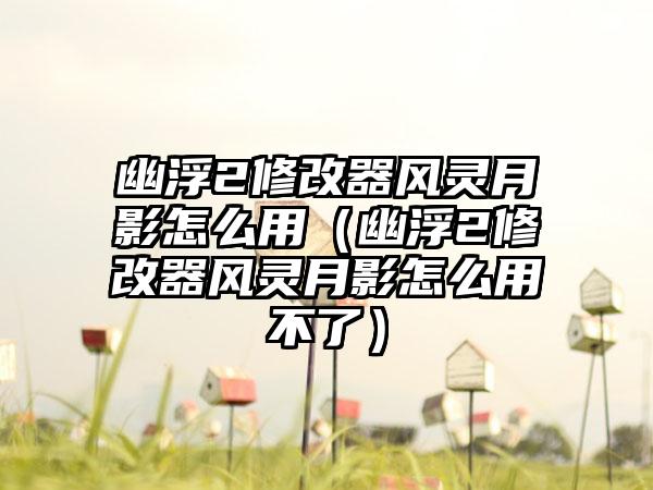 幽浮2修改器风灵月影怎么用（幽浮2修改器风灵月影怎么用不了）