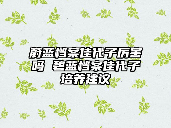 蔚蓝档案佳代子厉害吗 碧蓝档案佳代子培养建议