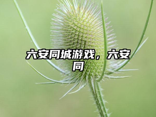 六安同城游戏，六安同