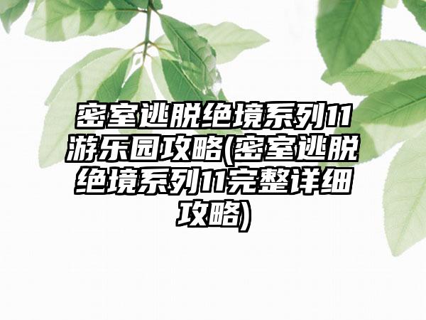 密室逃脱绝境系列11游乐园攻略(密室逃脱绝境系列11完整详细攻略)