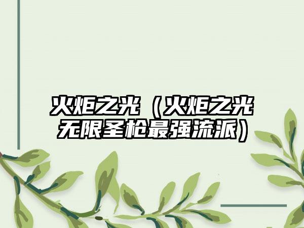 火炬之光（火炬之光无限圣枪最强流派）