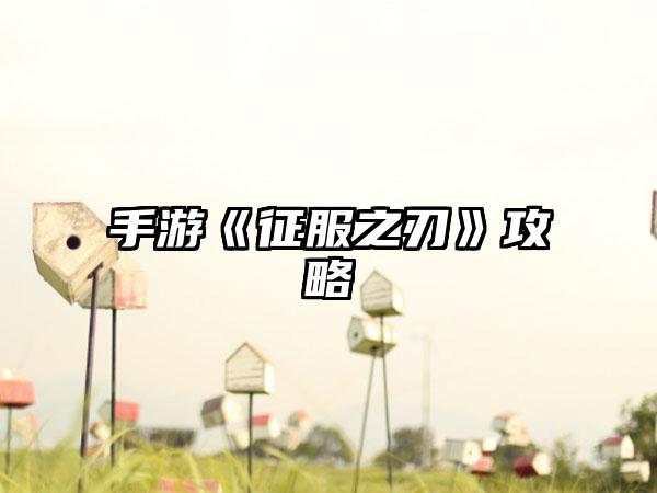 手游《征服之刃》攻略