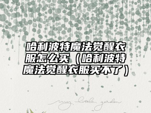 哈利波特魔法觉醒衣服怎么买（哈利波特魔法觉醒衣服买不了）