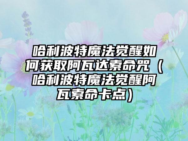 哈利波特魔法觉醒如何获取阿瓦达索命咒（哈利波特魔法觉醒阿瓦索命卡点）