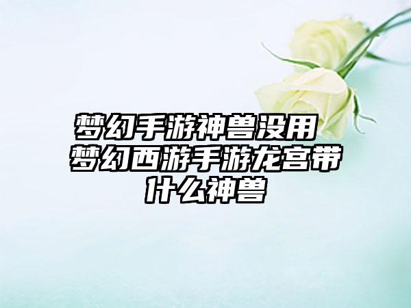 梦幻手游神兽没用 梦幻西游手游龙宫带什么神兽