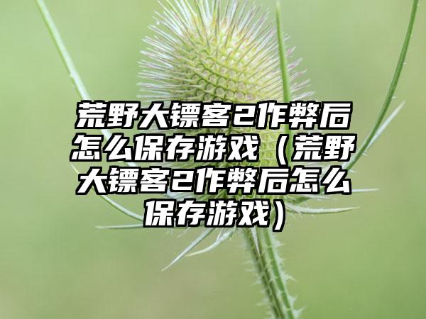 荒野大镖客2作弊后怎么保存游戏（荒野大镖客2作弊后怎么保存游戏）