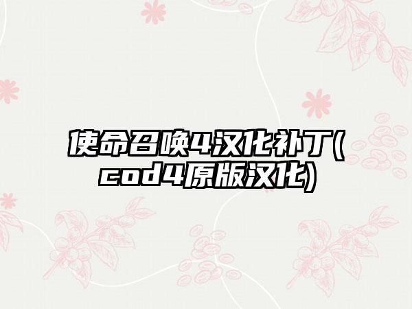 使命召唤4汉化补丁(cod4原版汉化)