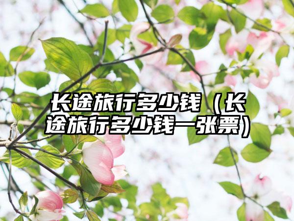 长途旅行多少钱（长途旅行多少钱一张票）