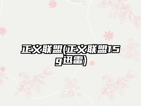 正义联盟(正义联盟15g迅雷)