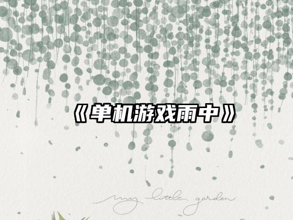 《单机游戏雨中》