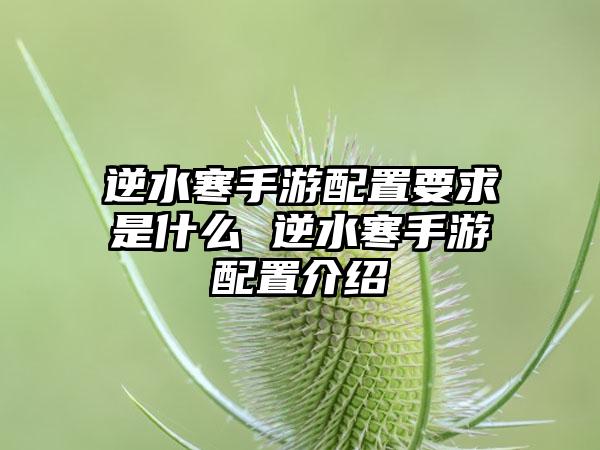 逆水寒手游配置要求是什么 逆水寒手游配置介绍