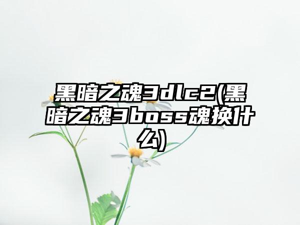 黑暗之魂3dlc2(黑暗之魂3boss魂换什么)