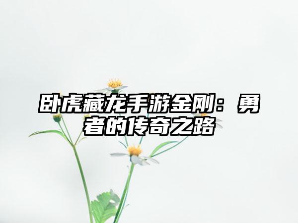 卧虎藏龙手游金刚：勇者的传奇之路