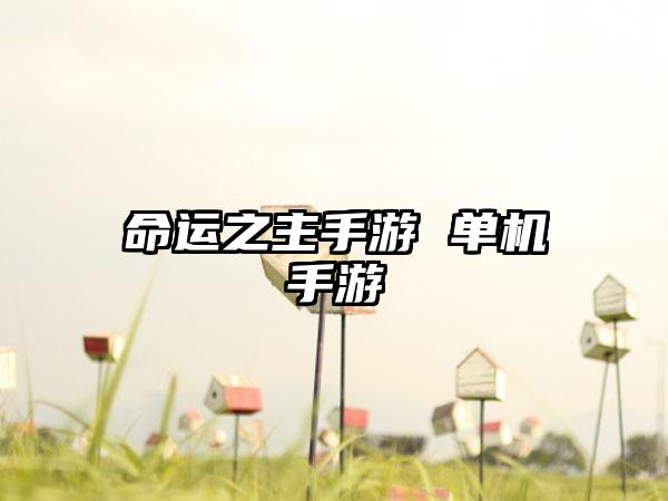 命运之主手游 单机手游