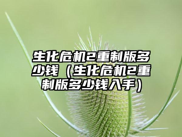 生化危机2重制版多少钱（生化危机2重制版多少钱入手）
