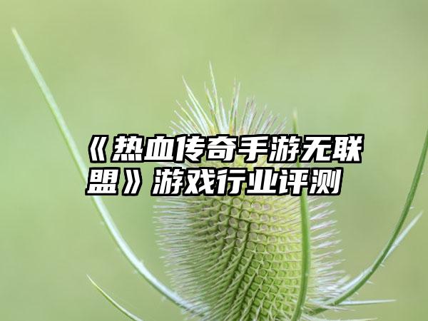 《热血传奇手游无联盟》游戏行业评测
