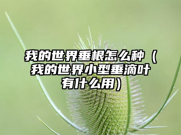 我的世界垂根怎么种（我的世界小型垂滴叶有什么用）