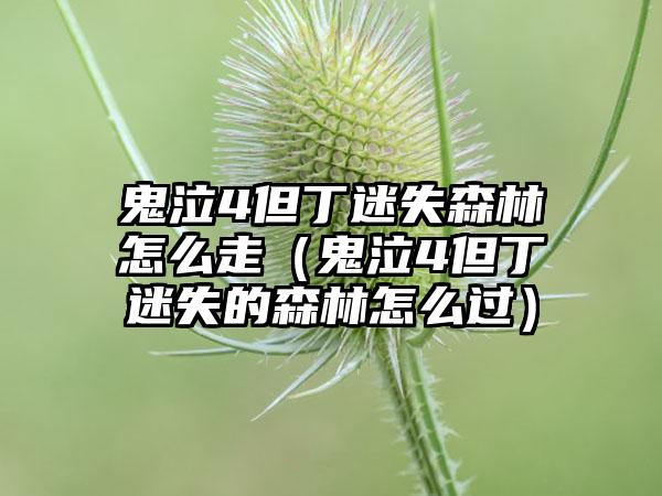 鬼泣4但丁迷失森林怎么走（鬼泣4但丁迷失的森林怎么过）