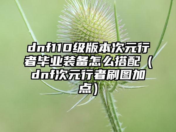 dnf110级版本次元行者毕业装备怎么搭配（dnf次元行者刷图加点）
