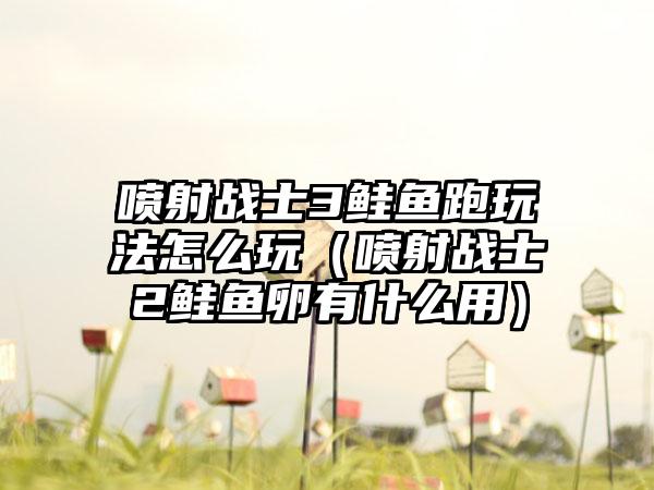 喷射战士3鲑鱼跑玩法怎么玩（喷射战士2鲑鱼卵有什么用）
