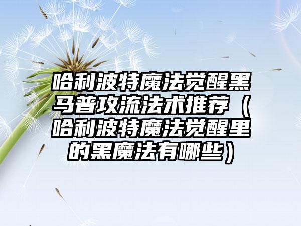 哈利波特魔法觉醒黑马普攻流法术推荐（哈利波特魔法觉醒里的黑魔法有哪些）