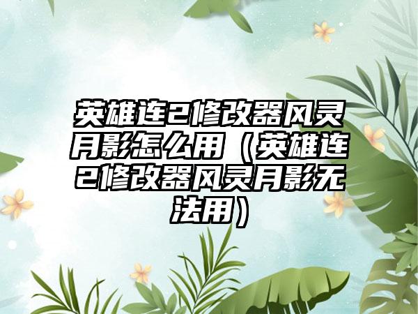 英雄连2修改器风灵月影怎么用（英雄连2修改器风灵月影无法用）