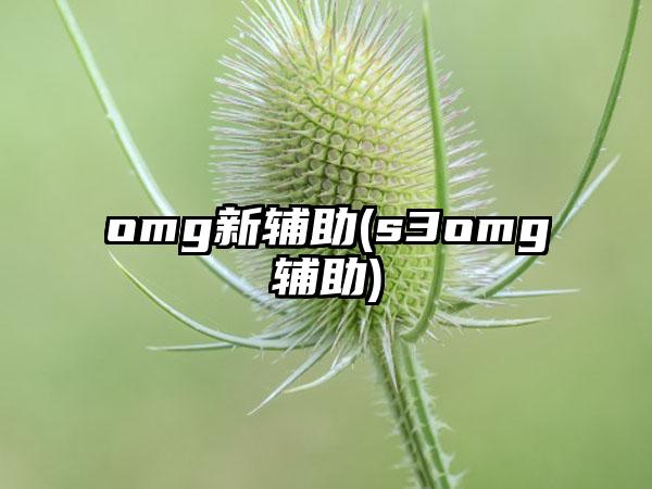 omg新辅助(s3omg辅助)
