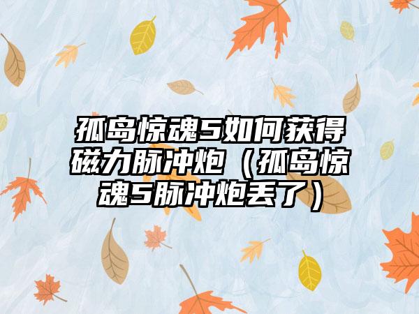 孤岛惊魂5如何获得磁力脉冲炮（孤岛惊魂5脉冲炮丢了）