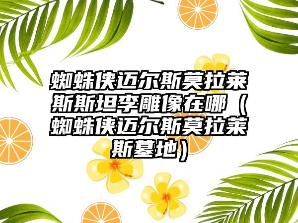 蜘蛛侠迈尔斯莫拉莱斯斯坦李雕像在哪（蜘蛛侠迈尔斯莫拉莱斯墓地）