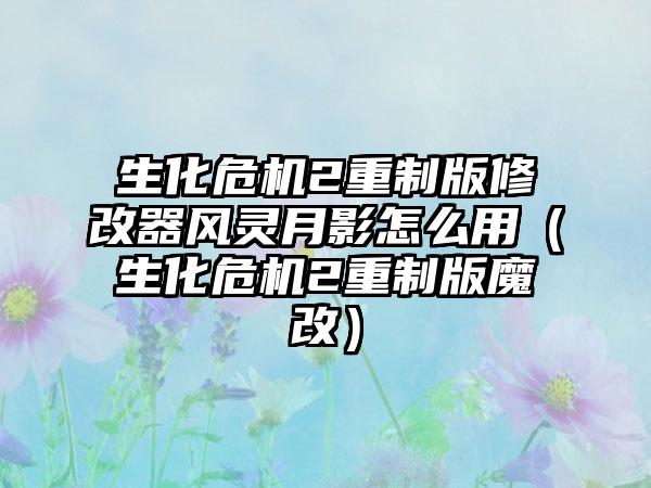 生化危机2重制版修改器风灵月影怎么用（生化危机2重制版魔改）
