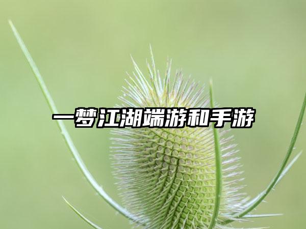 一梦江湖端游和手游