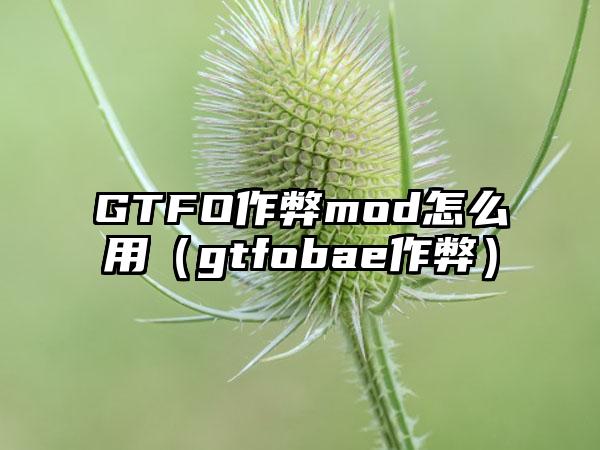 GTFO作弊mod怎么用（gtfobae作弊）