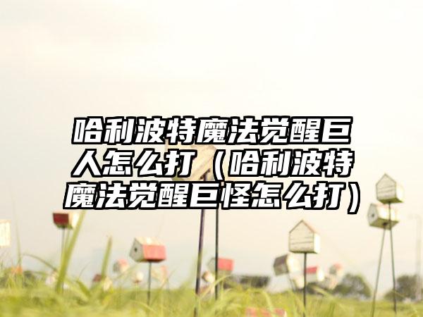 哈利波特魔法觉醒巨人怎么打（哈利波特魔法觉醒巨怪怎么打）