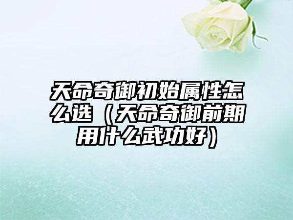 天命奇御初始属性怎么选（天命奇御前期用什么武功好）