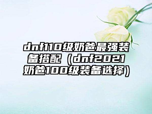 dnf110级奶爸最强装备搭配（dnf2021奶爸100级装备选择）