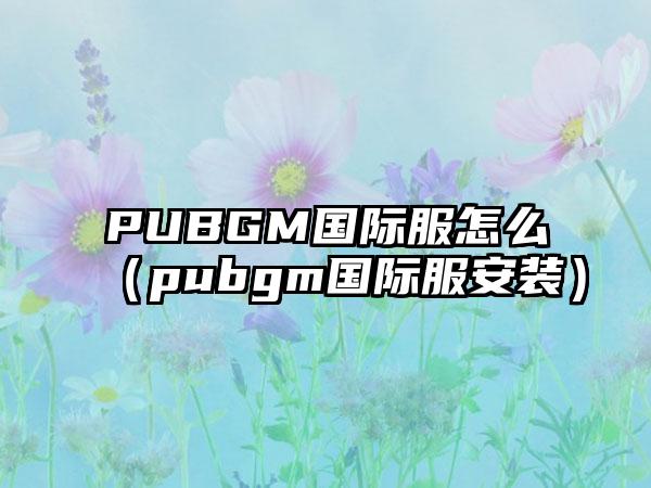PUBGM国际服怎么（pubgm国际服安装）