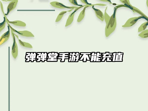 弹弹堂手游不能充值