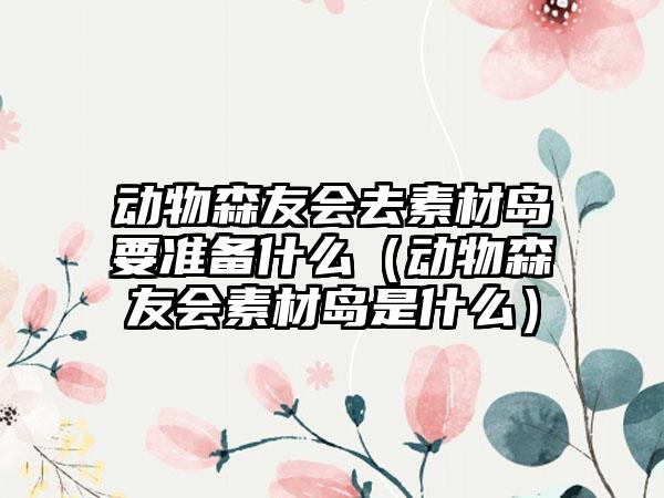 动物森友会去素材岛要准备什么（动物森友会素材岛是什么）