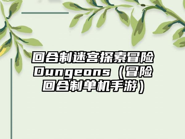回合制迷宫探索冒险Dungeons（冒险回合制单机手游）