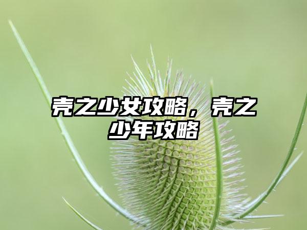 壳之少女攻略，壳之少年攻略