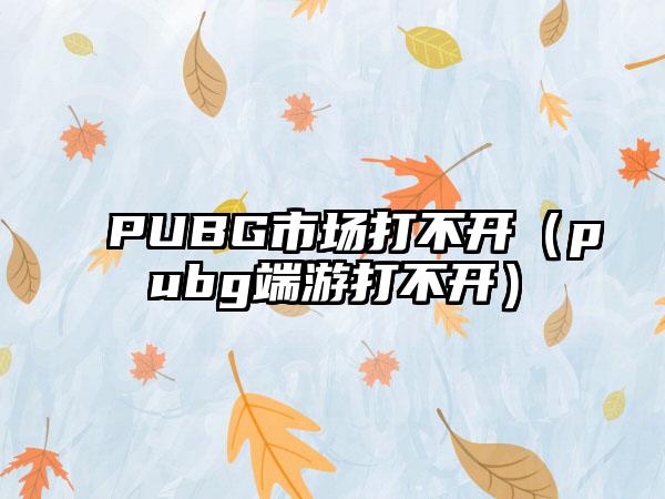 PUBG市场打不开（pubg端游打不开）