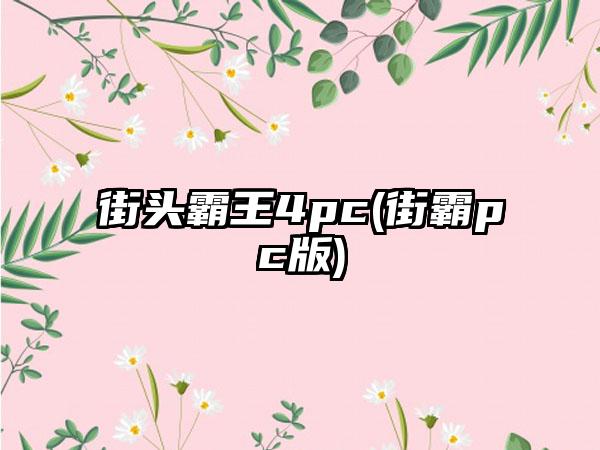 街头霸王4pc(街霸pc版)