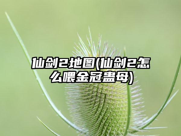 仙剑2地图(仙剑2怎么喂金冠蛊母)