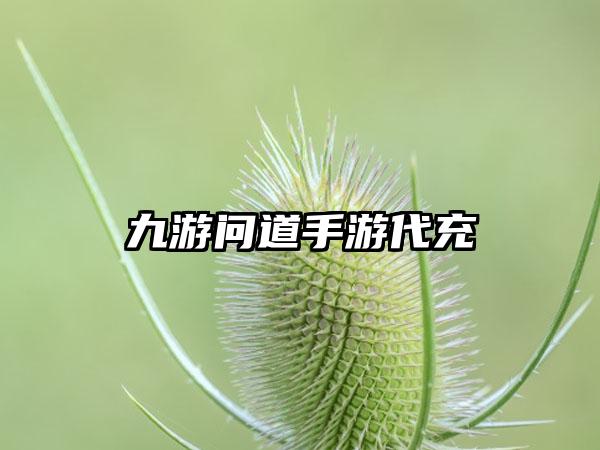 九游问道手游代充