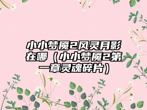 小小梦魇2风灵月影在哪（小小梦魇2第一章灵魂碎片）