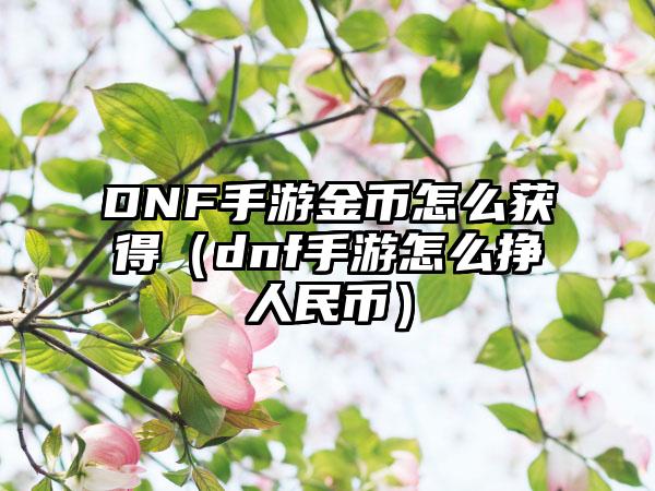 DNF手游金币怎么获得（dnf手游怎么挣人民币）