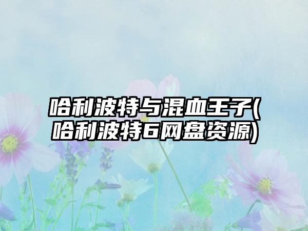 哈利波特与混血王子(哈利波特6网盘资源)