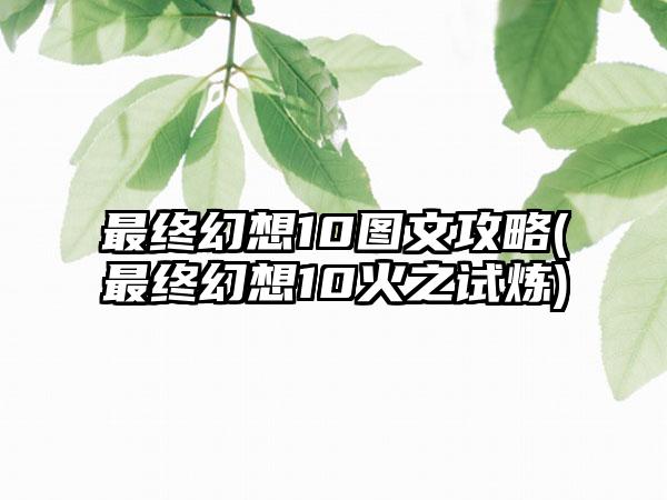 最终幻想10图文攻略(最终幻想10火之试炼)