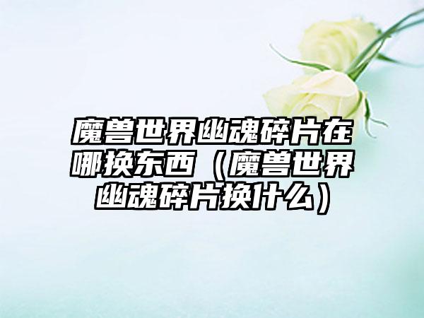 魔兽世界幽魂碎片在哪换东西（魔兽世界幽魂碎片换什么）