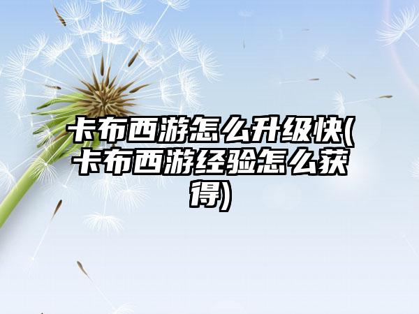 卡布西游怎么升级快(卡布西游经验怎么获得)